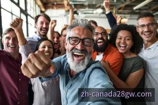 加拿大28玩法入门说明